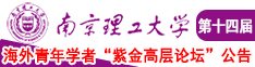 大鸡巴在线南京理工大学第十四届海外青年学者紫金论坛诚邀海内外英才！